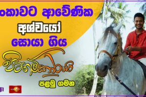 ලංකාවට ආවේණික අශ්වයෝ සොයාගිය පිටගම්කාරයා Pitagamkaraya - පිටගම්කාරයා